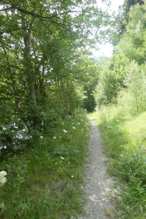 2026-07-07-SAC-Tiefenc-Filisur-024-1