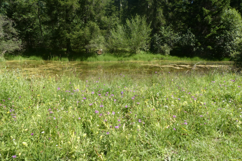 2026-07-07-SAC-Tiefenc-Filisur-059-1