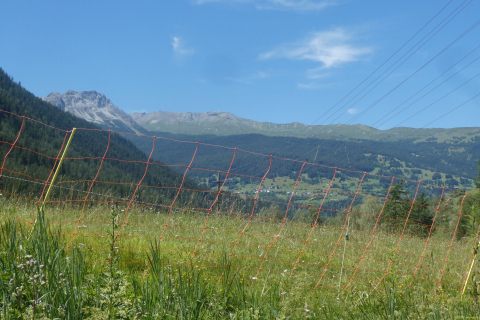 2026-07-07-SAC-Tiefenc-Filisur-067-1