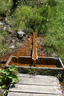 2026-07-07-SAC-Tiefenc-Filisur-076-1