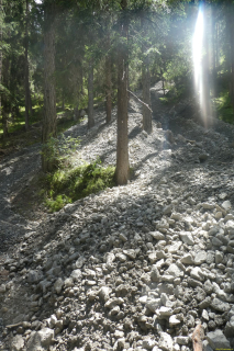 2026-07-07-SAC-Tiefenc-Filisur-078-1