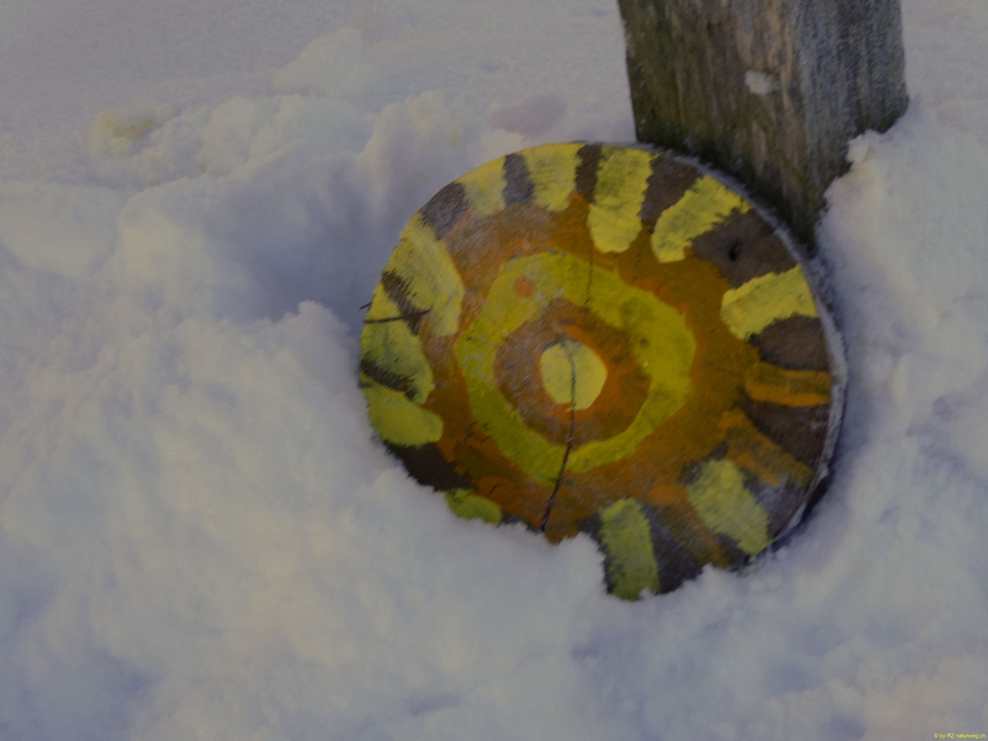 2026-01-06-SAC-RS-Hundwiler-Hoe-03_bearbeitet-1