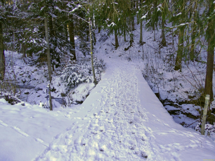 2026-01-06-SAC-RS-Hundwiler-Hoe-06_bearbeitet-1