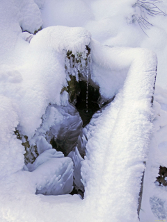 2026-01-06-SAC-RS-Hundwiler-Hoe-09_bearbeitet-1