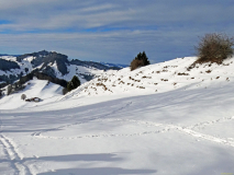 2026-01-06-SAC-RS-Hundwiler-Hoe-32_bearbeitet-1