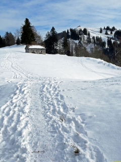 2026-01-06-SAC-RS-Hundwiler-Hoe-37_bearbeitet-1