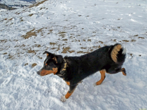 2026-01-06-SAC-RS-Hundwiler-Hoe-44_bearbeitet-1