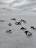 IMG-20260107-WA0003