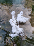 IMG-20260107-WA0006