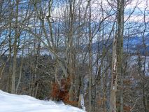 2026-01-06-SAC-RS-Hundwiler-Hoe-30_bearbeitet-1