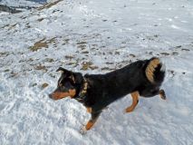 2026-01-06-SAC-RS-Hundwiler-Hoe-44_bearbeitet-1