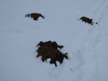 2026-01-06-SAC-RS-Hundwiler-Hoe-58