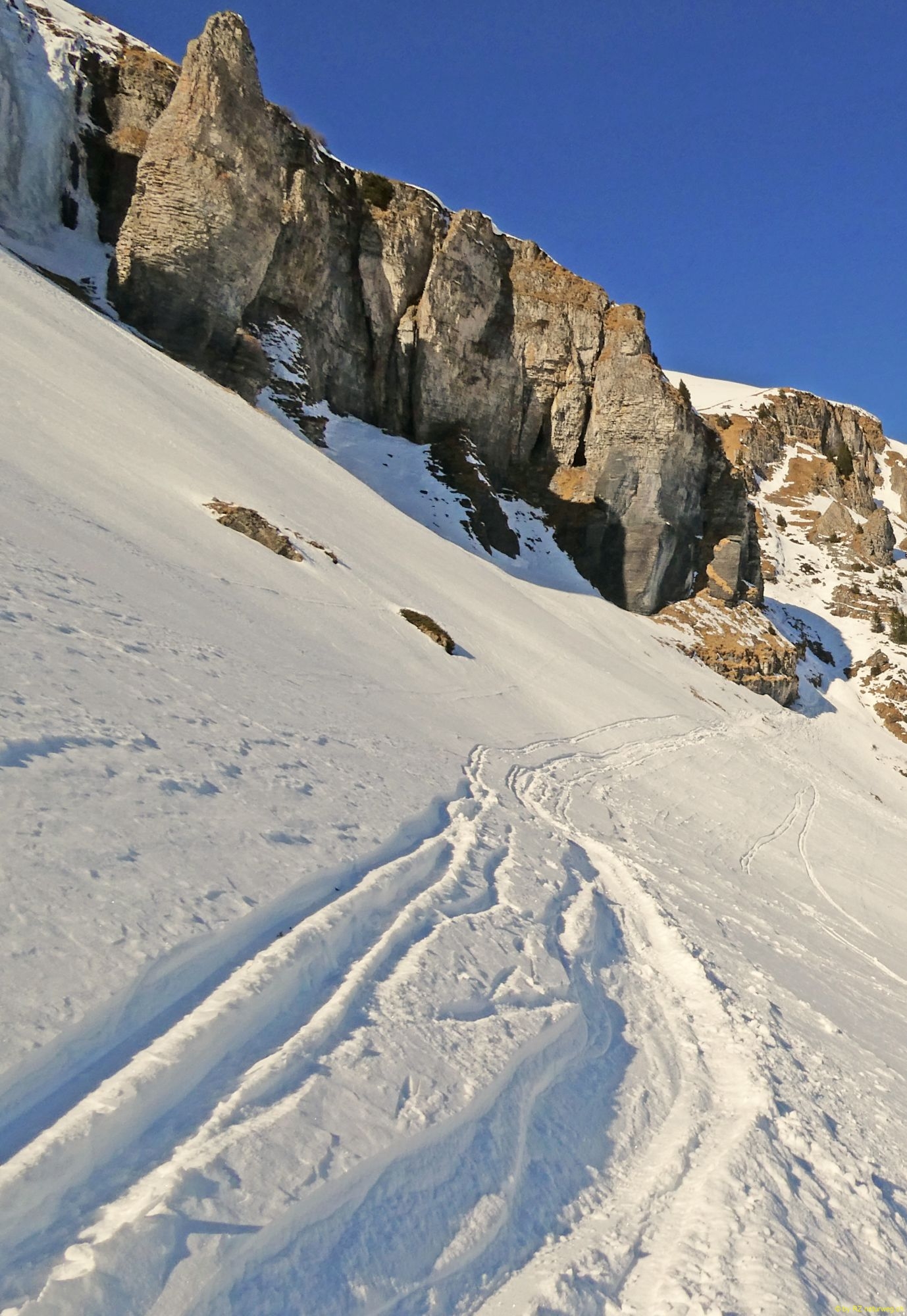 2026-02-05-SAC-SkiSteingaessler-101_bearbeitet-1