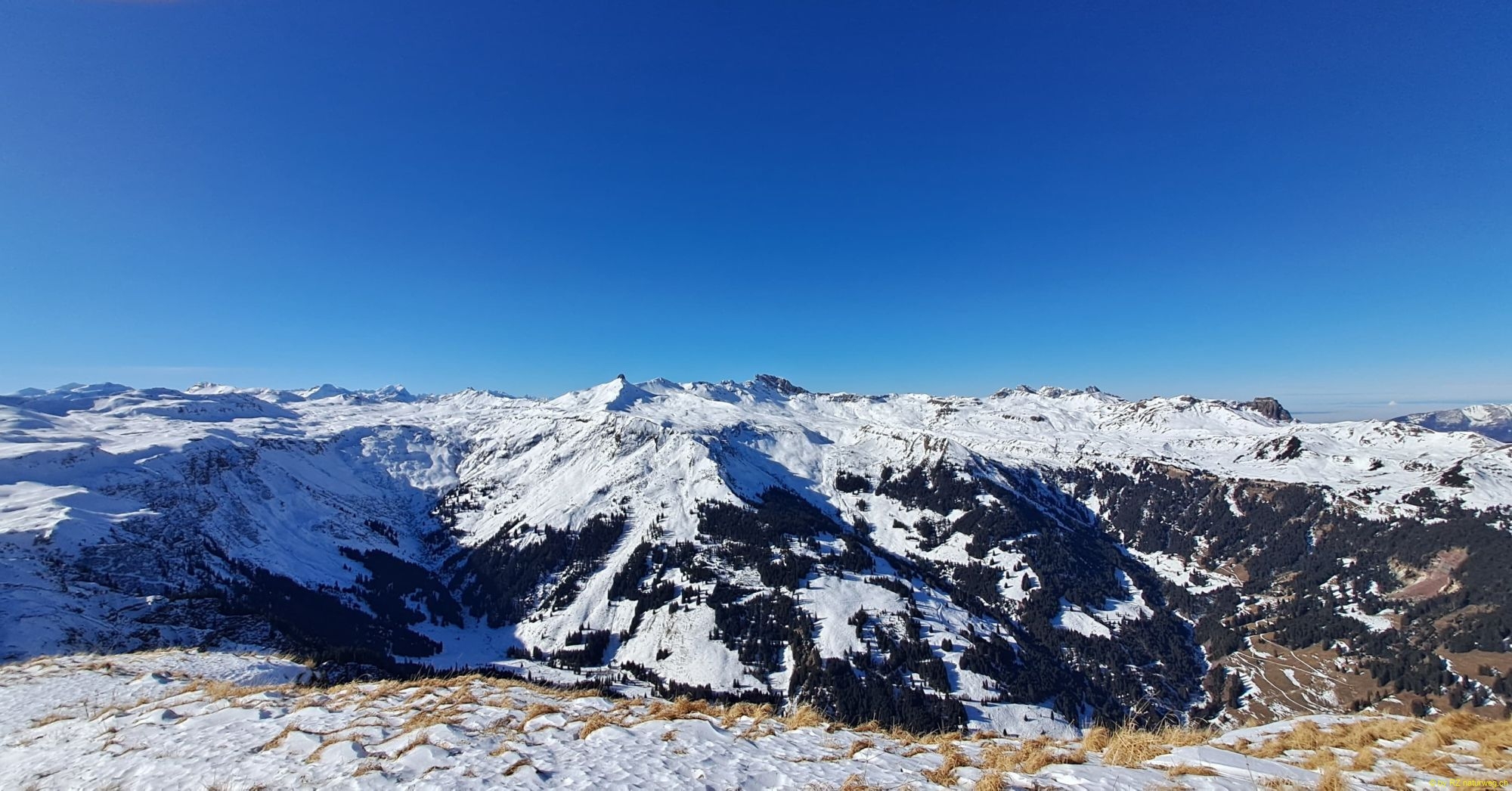 IMG-20260205-WA0010