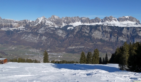 2026-02-05-SAC-SkiSteingaessler-113_bearbeitet-1