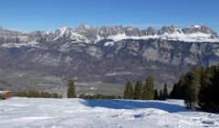 2026-02-05-SAC-SkiSteingaessler-113_bearbeitet-1