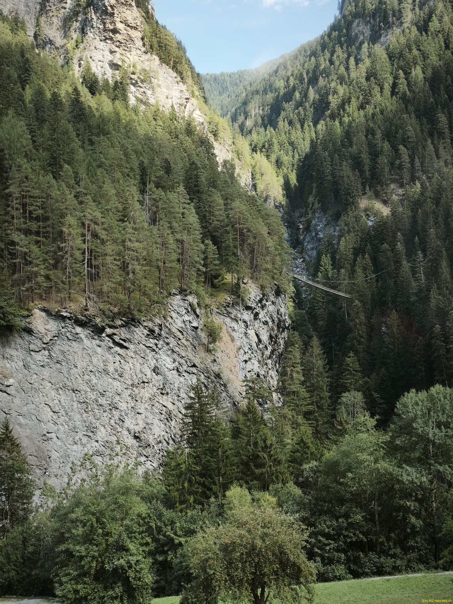 121-1787142292154