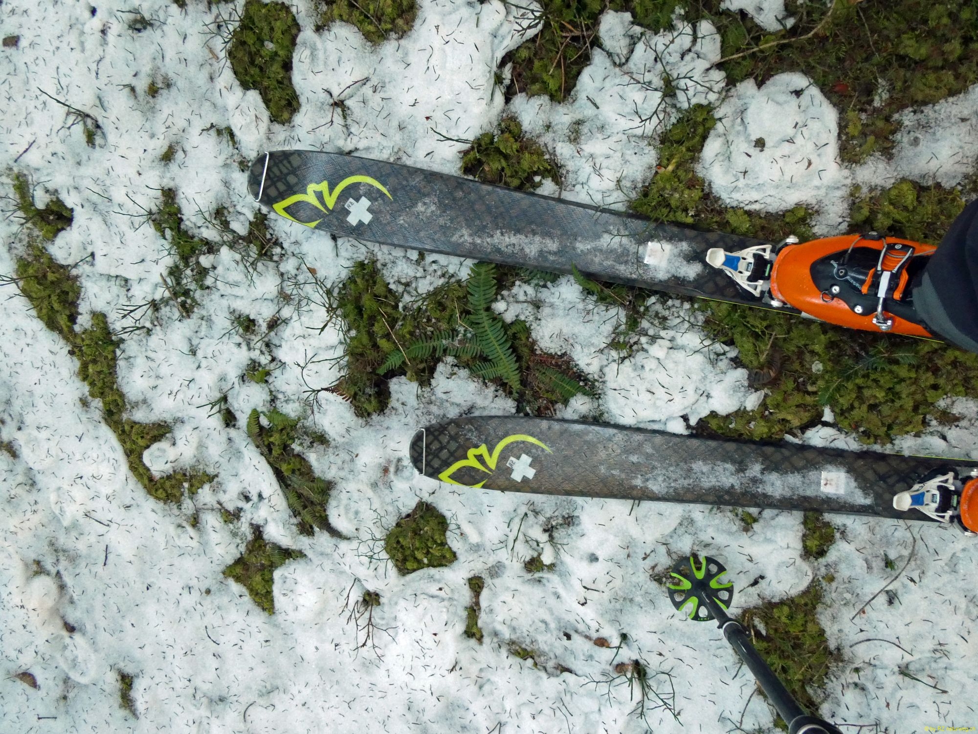2026-01-20-SAC-Ski-LaternsNobs-026_bearbeitet-1