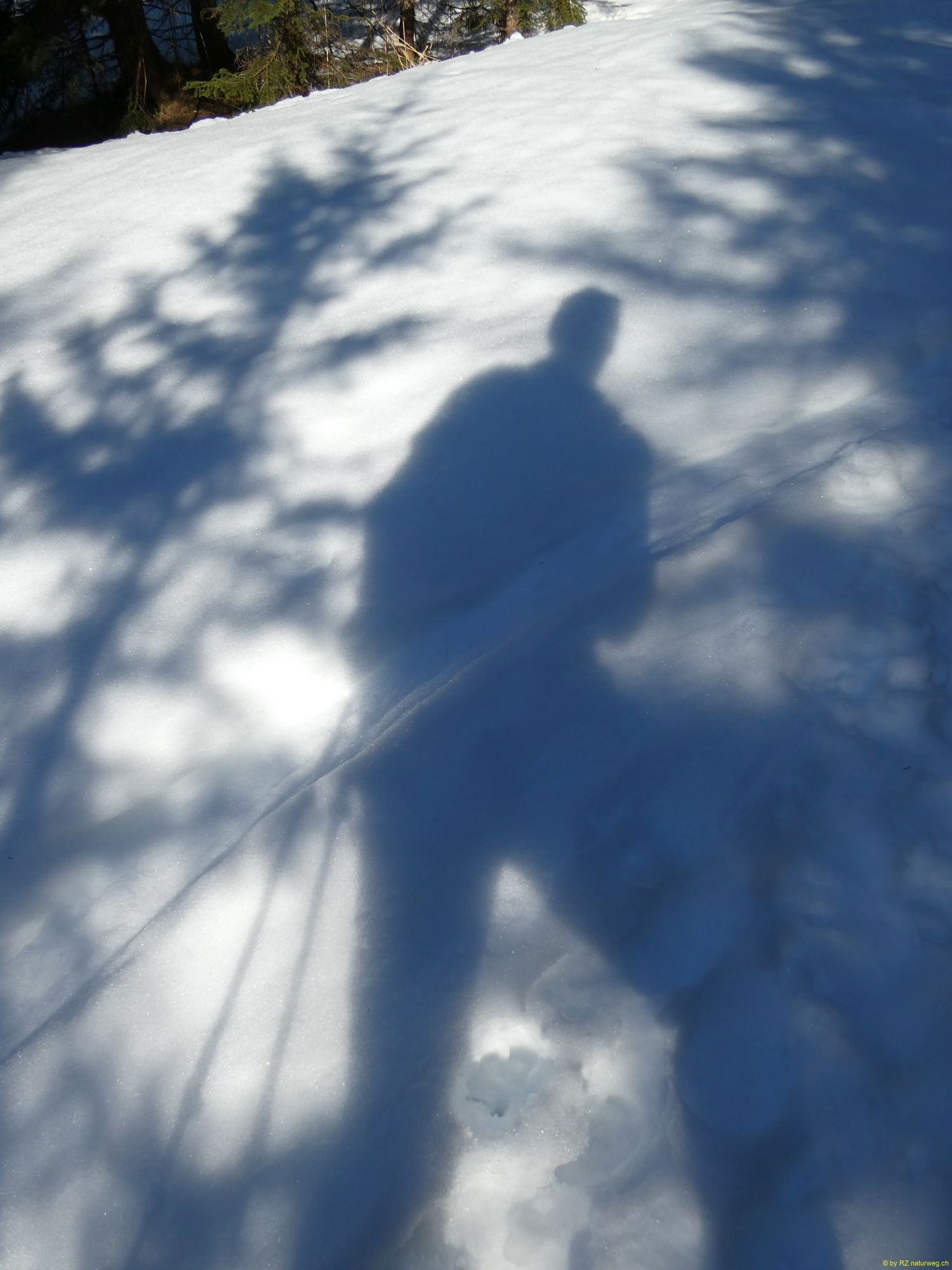 2026-01-20-SAC-Ski-LaternsNobs-045
