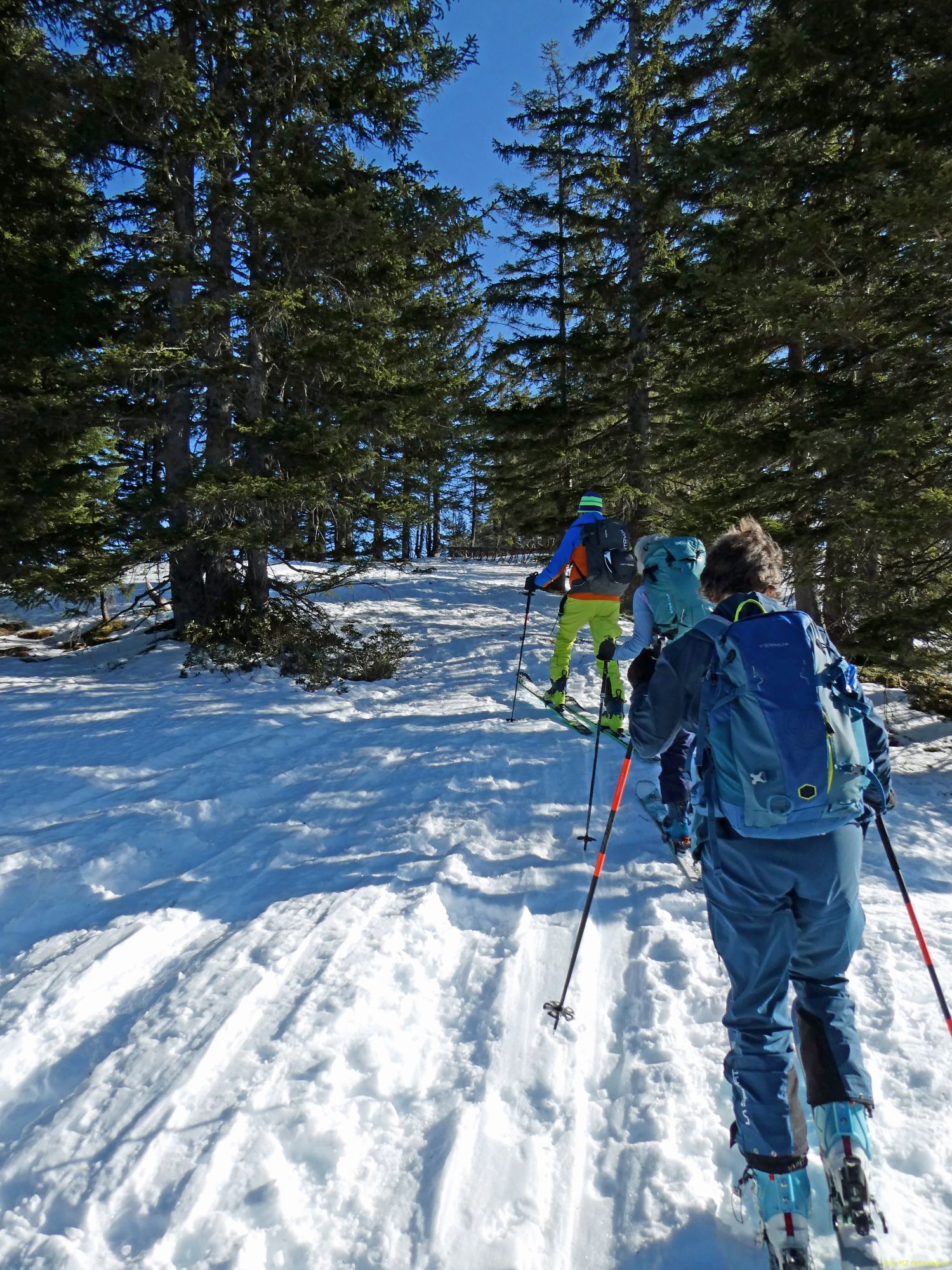 2026-01-20-SAC-Ski-LaternsNobs-053_bearbeitet-1