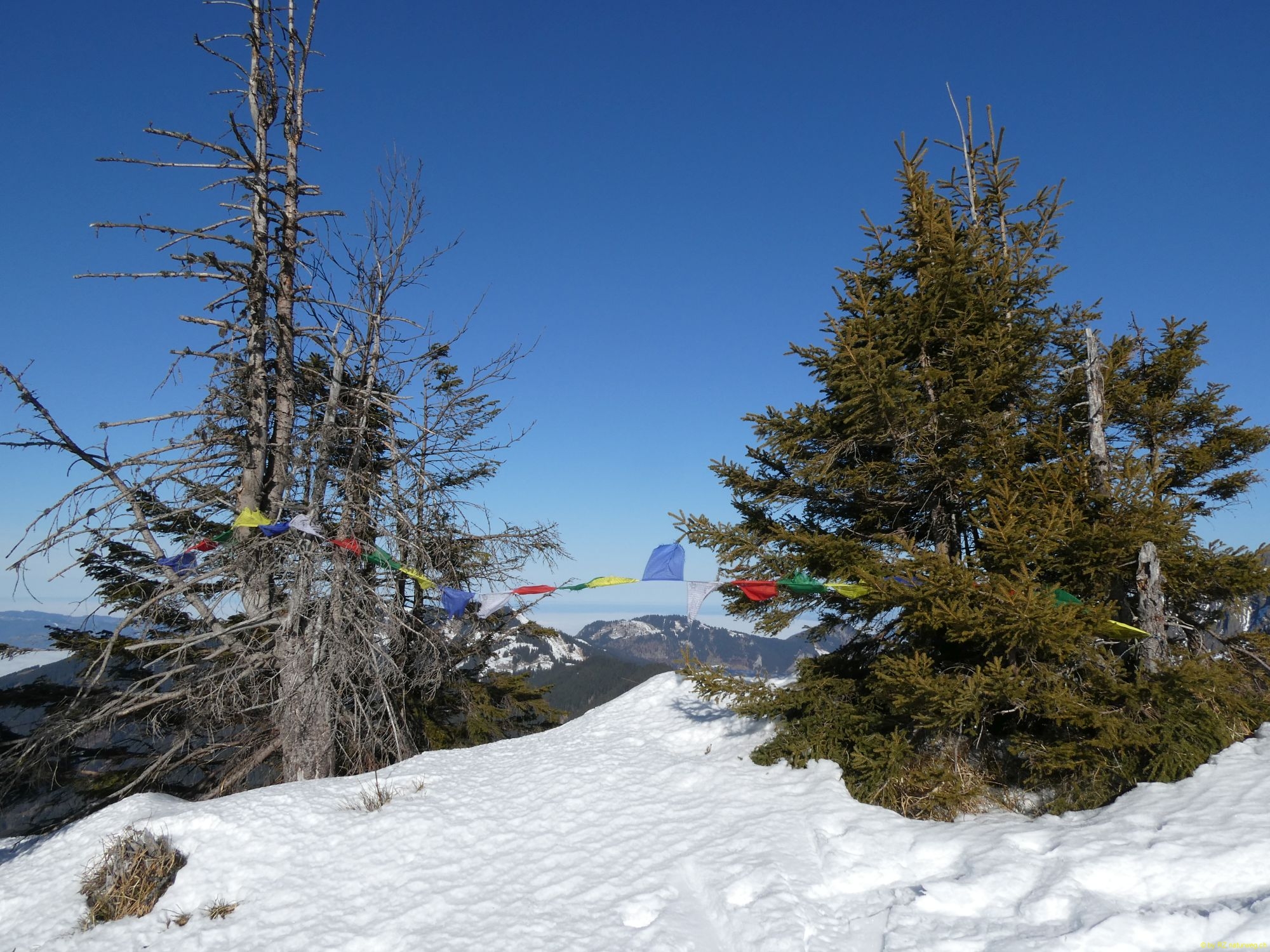2026-01-20-SAC-Ski-LaternsNobs-060
