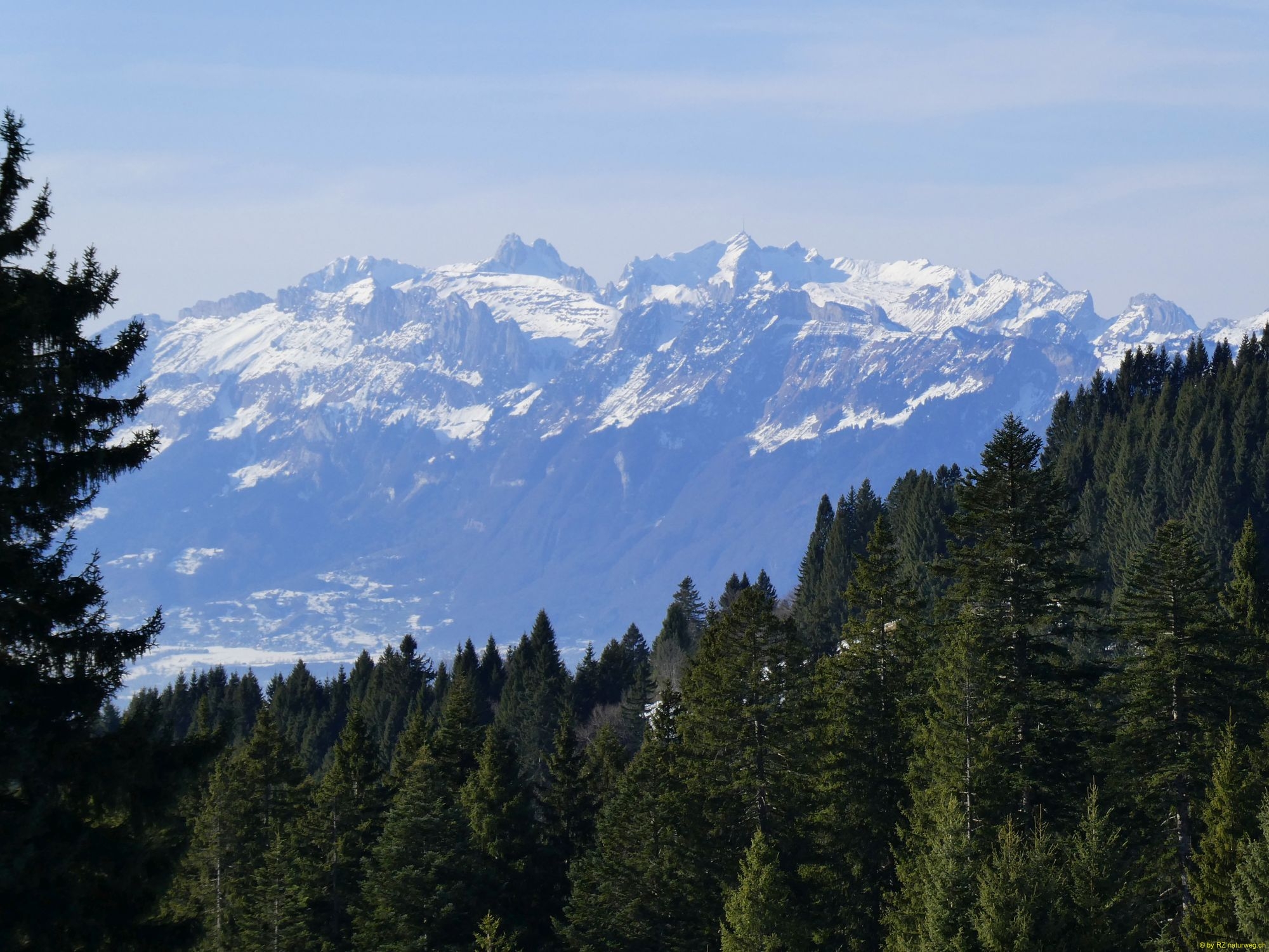 2026-01-20-SAC-Ski-LaternsNobs-115_bearbeitet-1