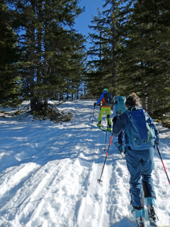 2026-01-20-SAC-Ski-LaternsNobs-053_bearbeitet-1
