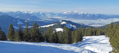 2026-01-20-SAC-Ski-LaternsNobs-058_bearbeitet-1