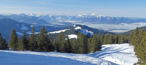 2026-01-20-SAC-Ski-LaternsNobs-058_bearbeitet-1