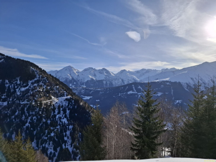IMG-20260122-WA0001