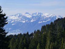 2026-01-20-SAC-Ski-LaternsNobs-115_bearbeitet-1