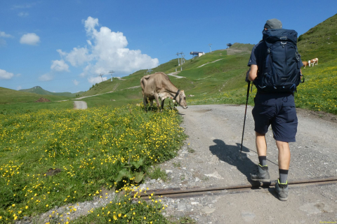 2026-06-23-SAC-Suenserspitze-070