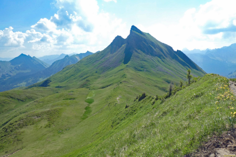 2026-06-23-SAC-Suenserspitze-081_bearbeitet-1