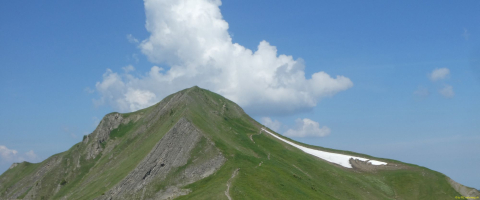 2026-06-23-SAC-Suenserspitze-082_bearbeitet-1