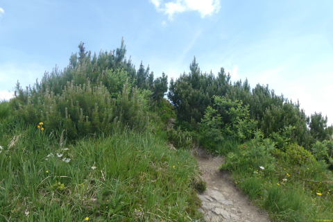 2026-06-23-SAC-Suenserspitze-186