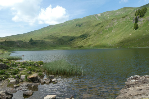 2026-06-23-SAC-Suenserspitze-229