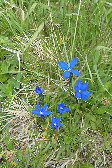 2026-06-23-SAC-Suenserspitze-234_bearbeitet-1