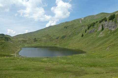 2026-06-23-SAC-Suenserspitze-235