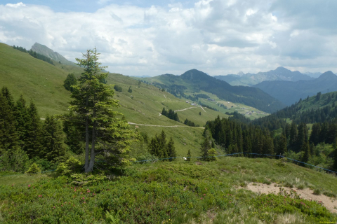 2026-06-23-SAC-Suenserspitze-281