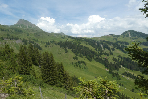 2026-06-23-SAC-Suenserspitze-312