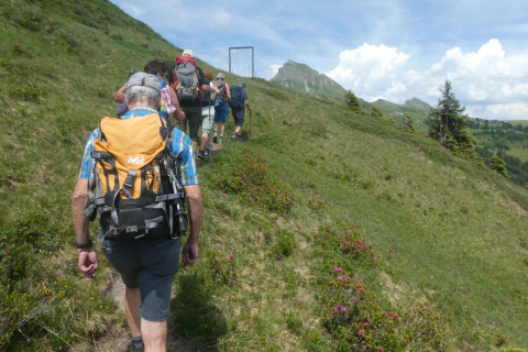 2026-06-23-SAC-Suenserspitze-320