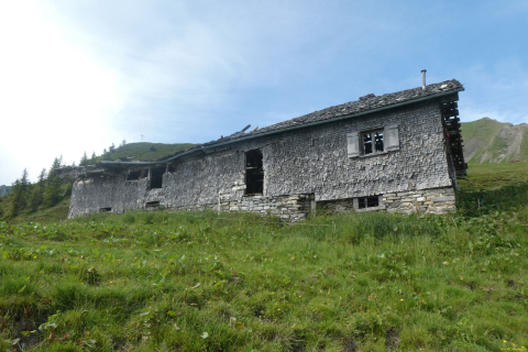 2026-06-23-SAC-Suenserspitze-349