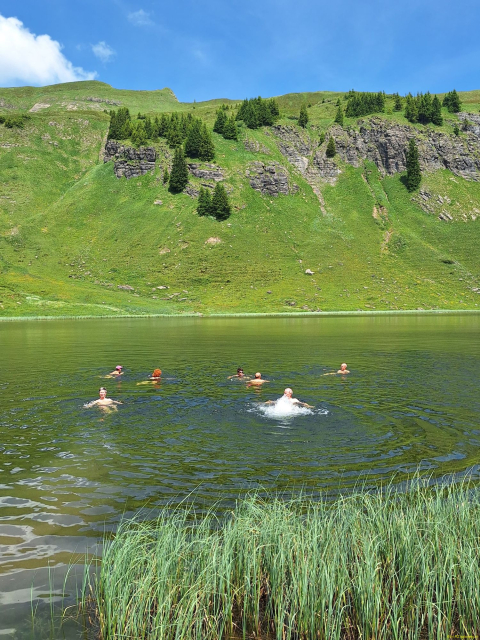IMG-20260629-WA0007