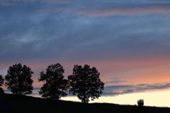 2017 06 06 75d Solitüde Abend-2_bearbeitet-2-1