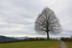 2018 01 28 Freudenberg-09_bearbeitet-1