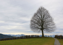 2018 01 28 Freudenberg-09_bearbeitet-1