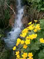 2006-05-03-Gruyeres-Les-A2