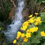 2006-05-03-Gruyeres-Les-A2