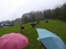 2016 10 08 OM Reise Vorarlberg-127