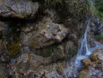 2016 10 09 OM Reise Vorarlberg-36